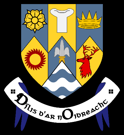 Public website for reporting street lighting faults - ClareFM