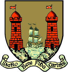 Public website for reporting street lighting faults - CorkCity2021