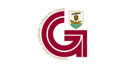 Public website for reporting street lighting faults - GalwayCity