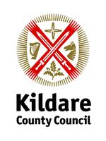 Public website for reporting street lighting faults - Kildare