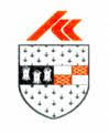 Public website for reporting street lighting faults - Kilkenny
