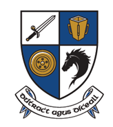 Public website for reporting street lighting faults - Monaghan