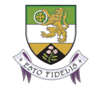 Public website for reporting street lighting faults - Offaly
