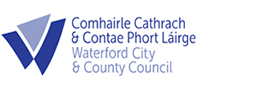 Public website for reporting street lighting faults - Waterford