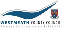 Public website for reporting street lighting faults - Westmeath
